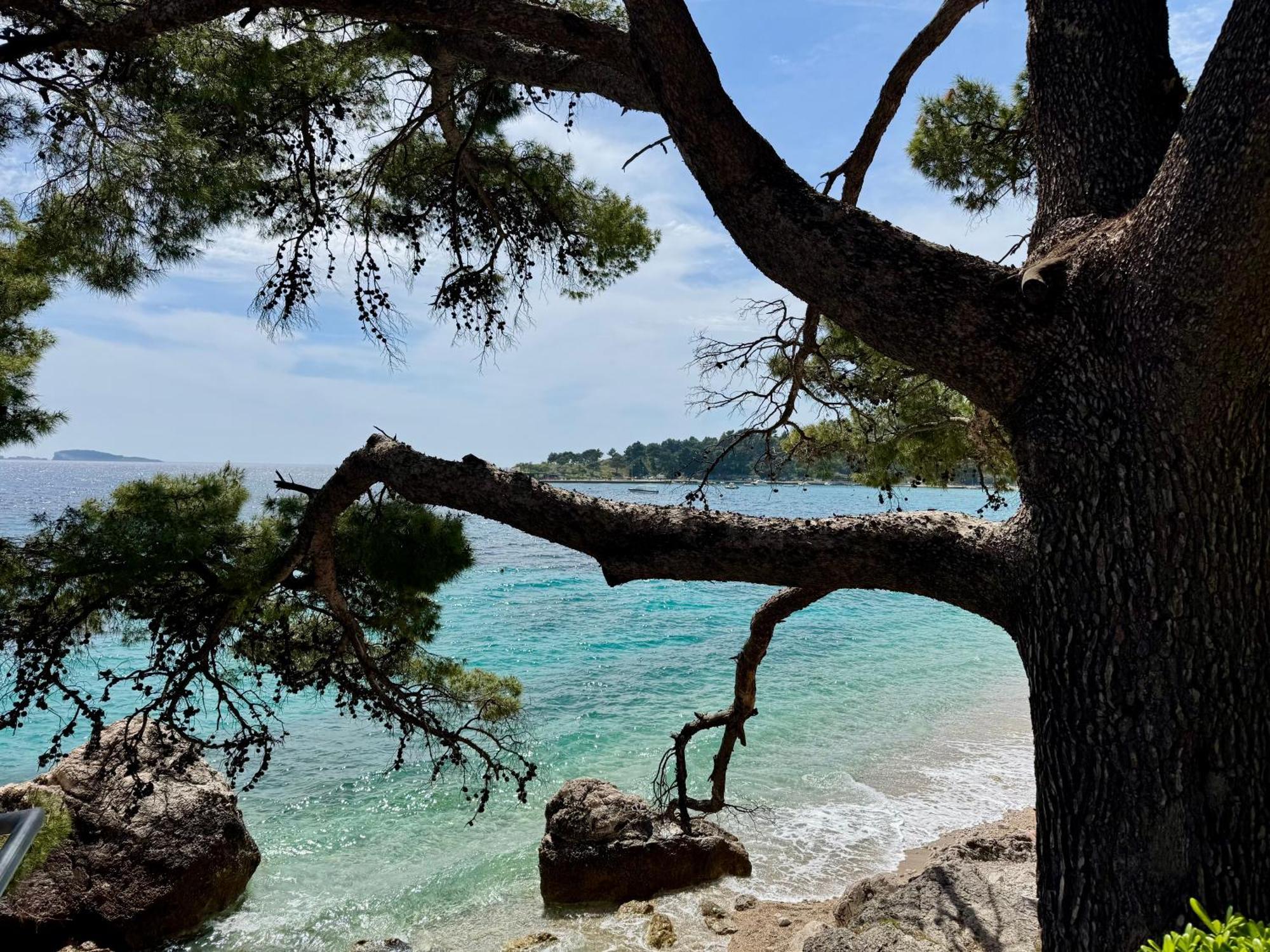 Lungo Mare Mlini